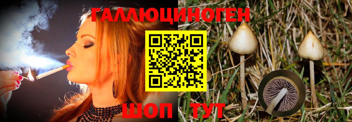 Галлюциногенные грибы Psilocybe Каспийск